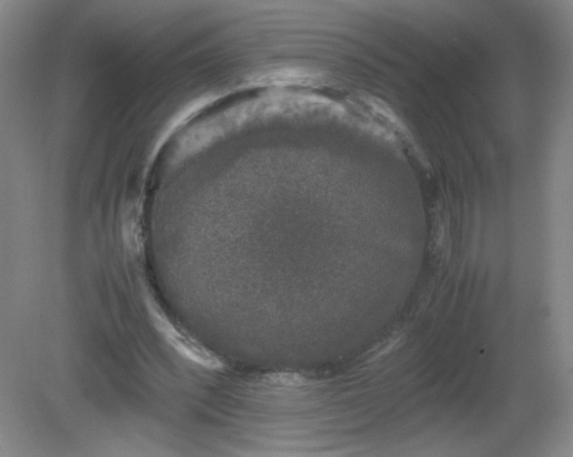 X0000081390392200701182237