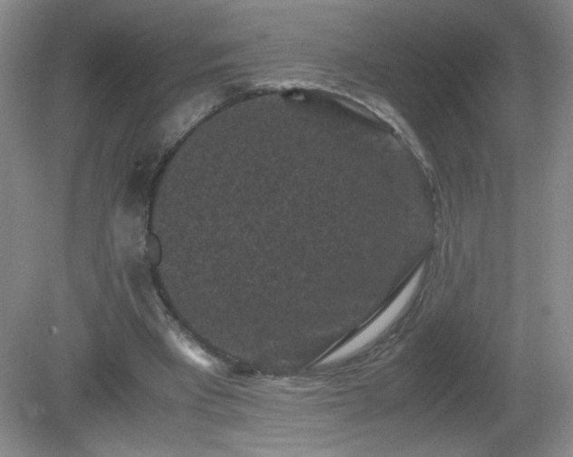 X0000081390393200701182237