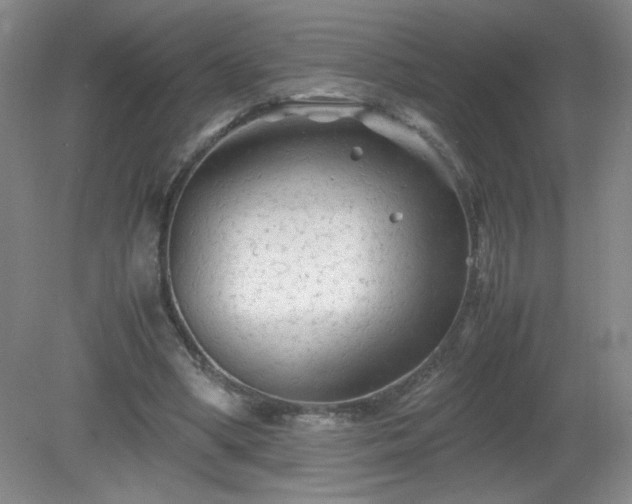 X0000081390394200701182237