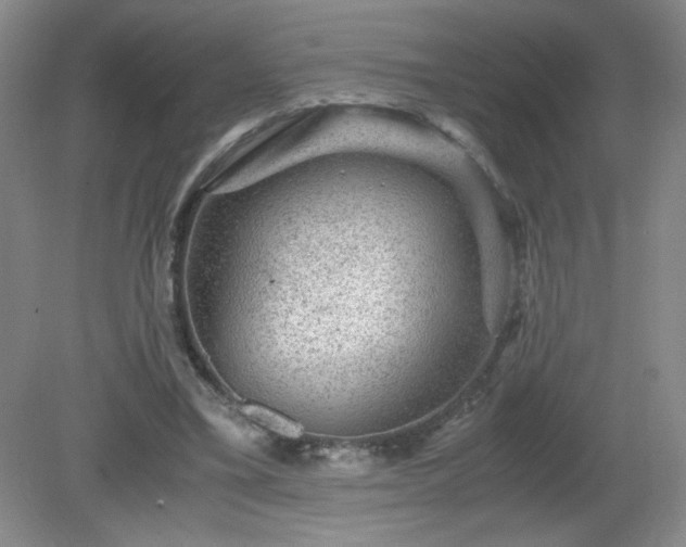 X0000081390395200701182237