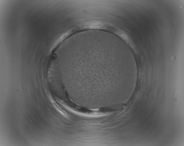 X0000081390397200701182237