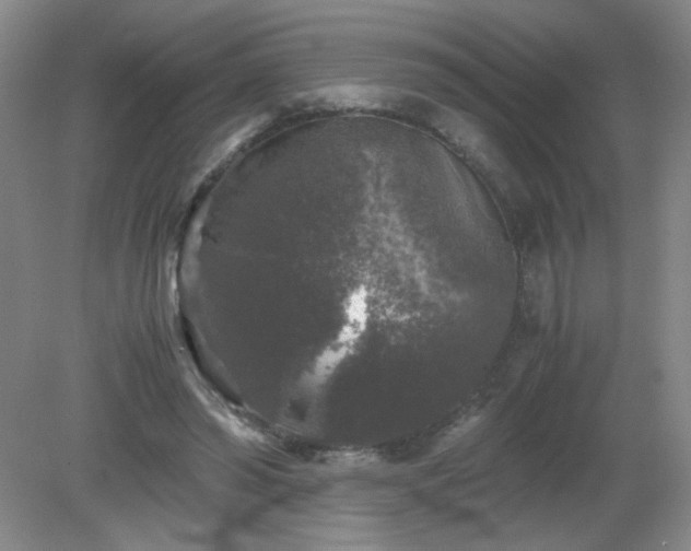 X0000081390398200701182237