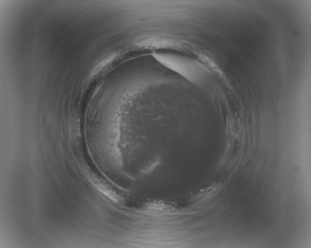 X0000081390399200701182237