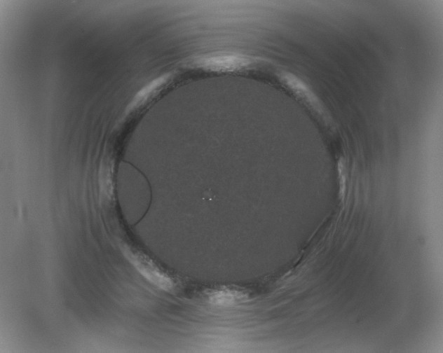 X0000081390400200701182237