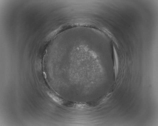 X0000081390401200701182237