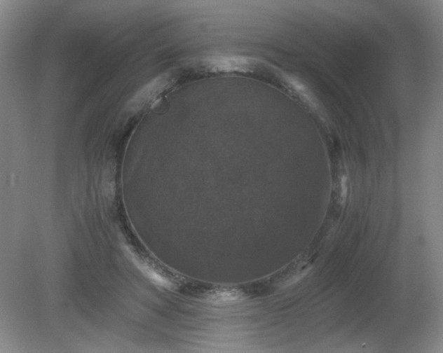 X0000081390402200701182237