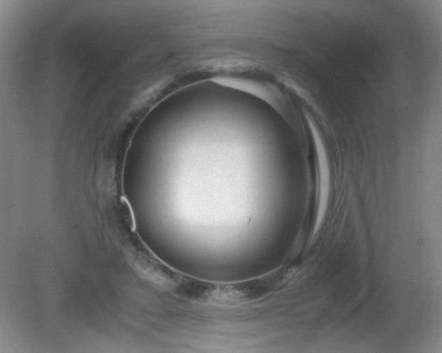 X0000081390403200701182237