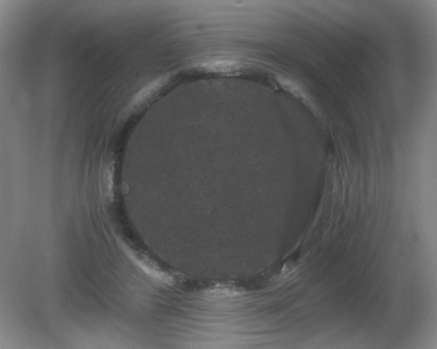 X0000081390404200701182237