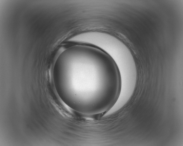 X0000081390405200701182237