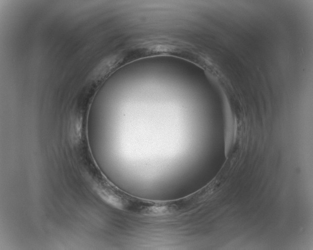 X0000081390406200701182237