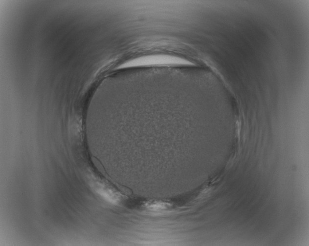 X0000081390407200701182237