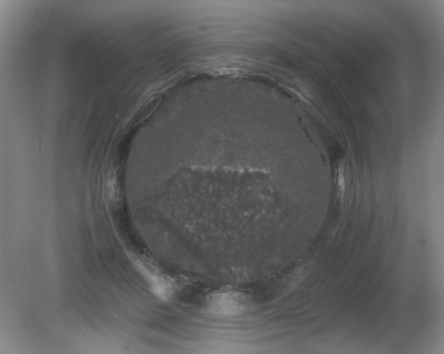 X0000081390408200701182237