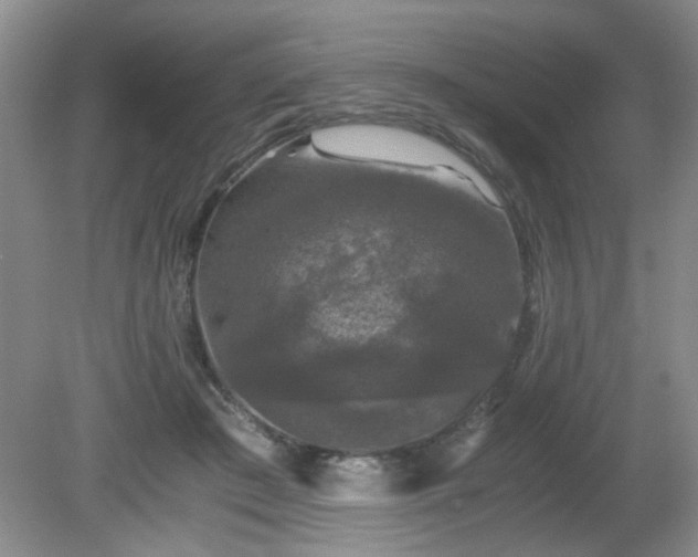 X0000081390409200701182237