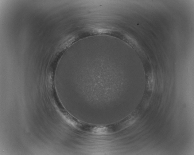 X0000081390410200701182237