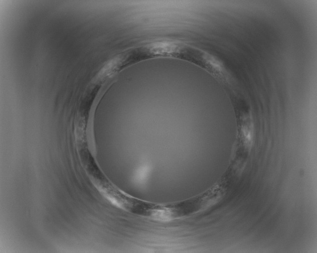 X0000081390411200701182237