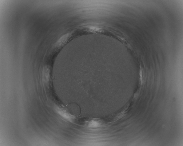 X0000081390412200701182237