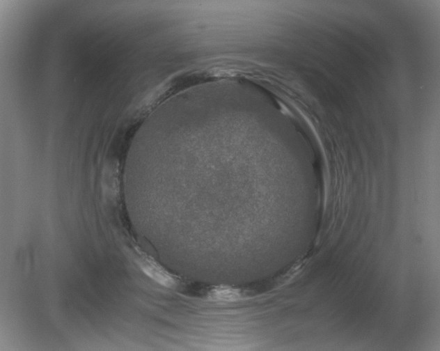 X0000081390413200701182237