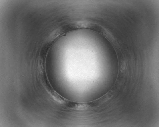 X0000081390414200701182237