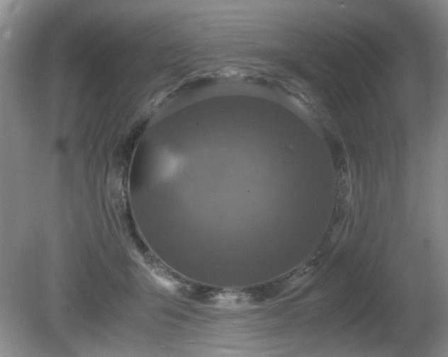 X0000081390415200701182237