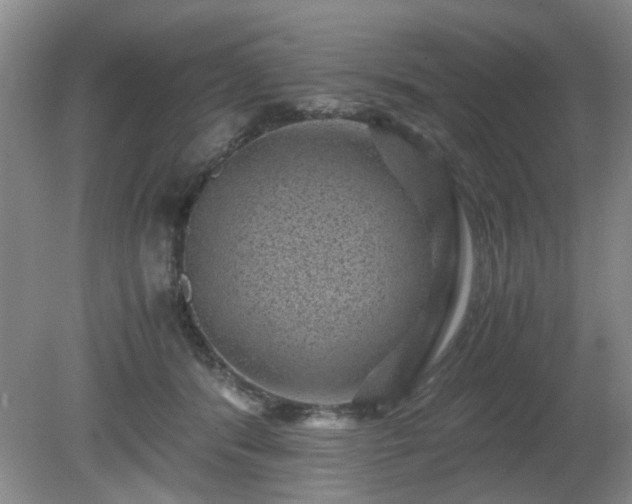 X0000081390416200701182237