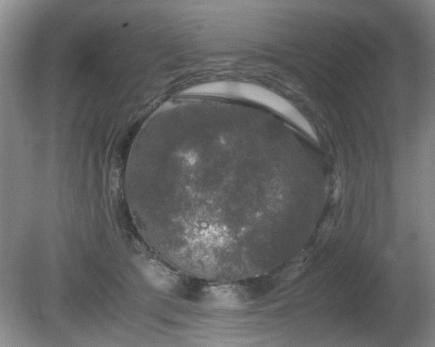 X0000081390417200701182237