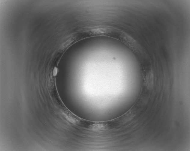 X0000081390418200701182237