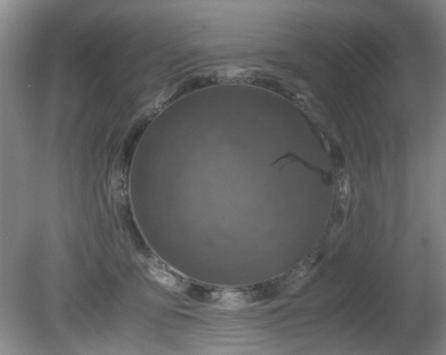 X0000081390419200701182237