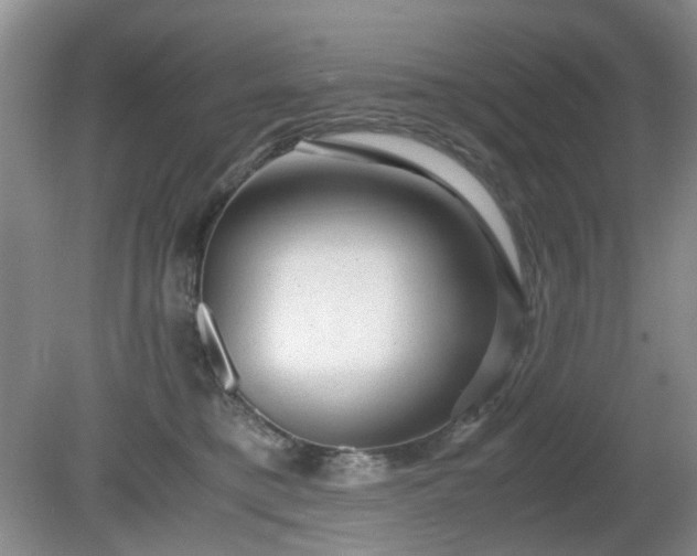 X0000081390421200701182237