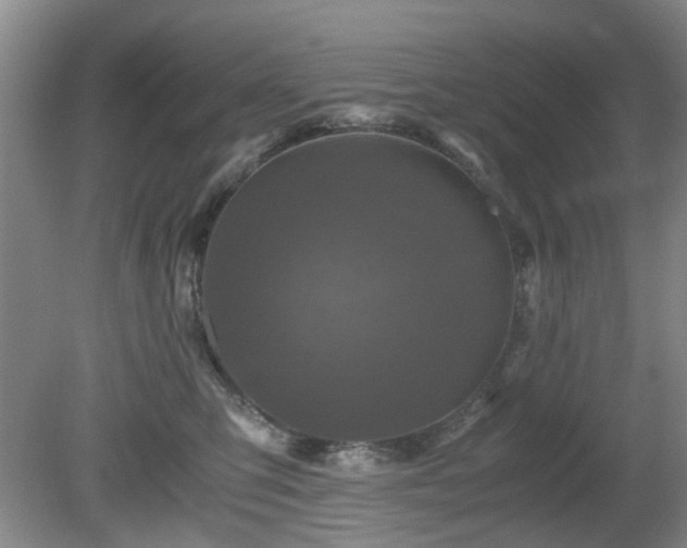 X0000081390423200701182237