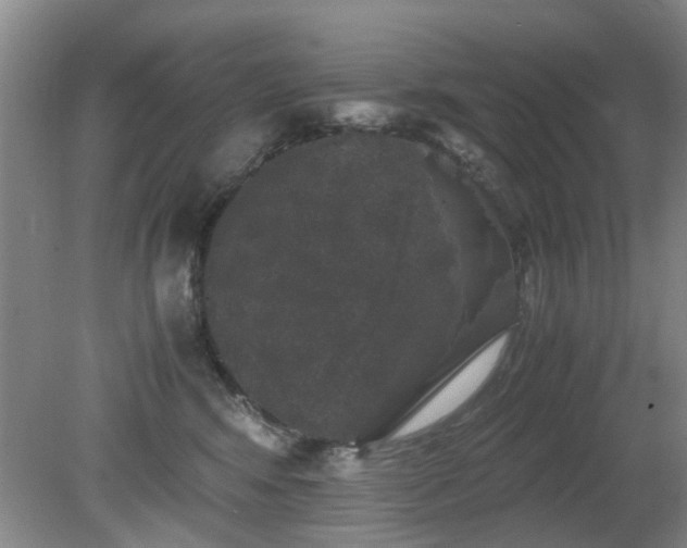 X0000081390424200701182237