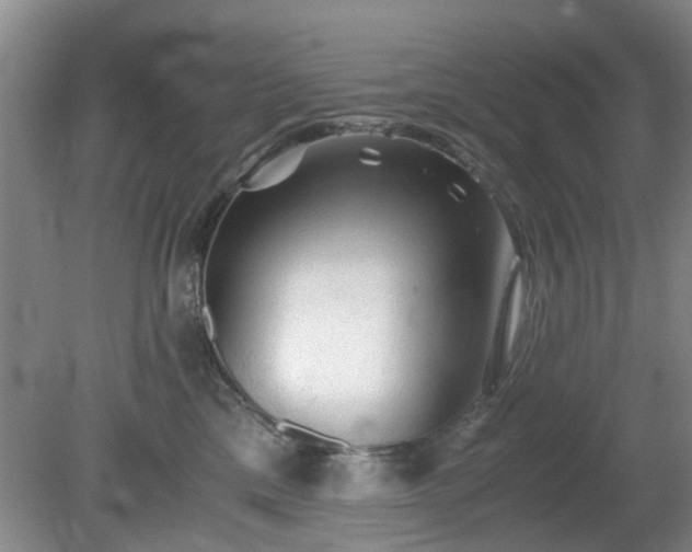 X0000081390425200701182237