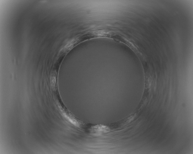 X0000081390427200701182237