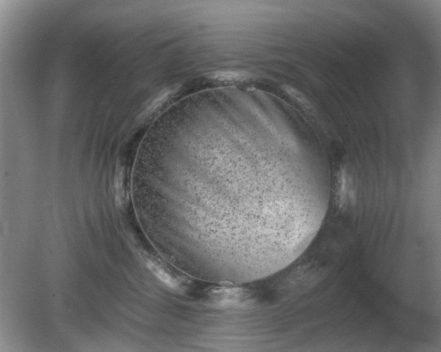 X0000081390428200701182237