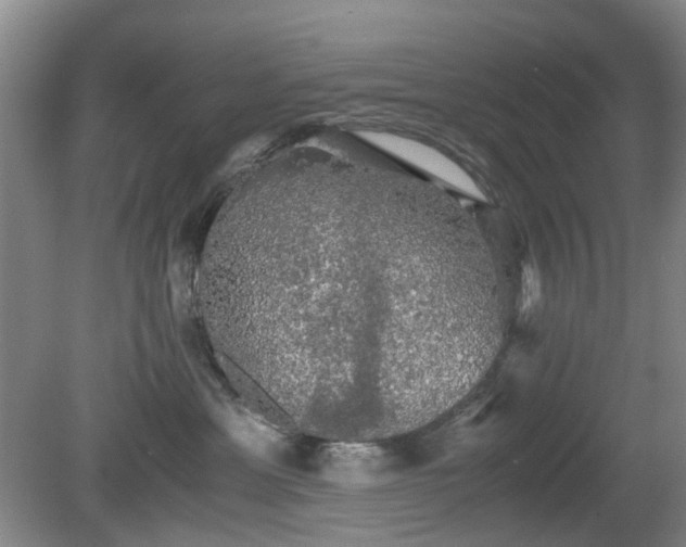 X0000081390429200701182237