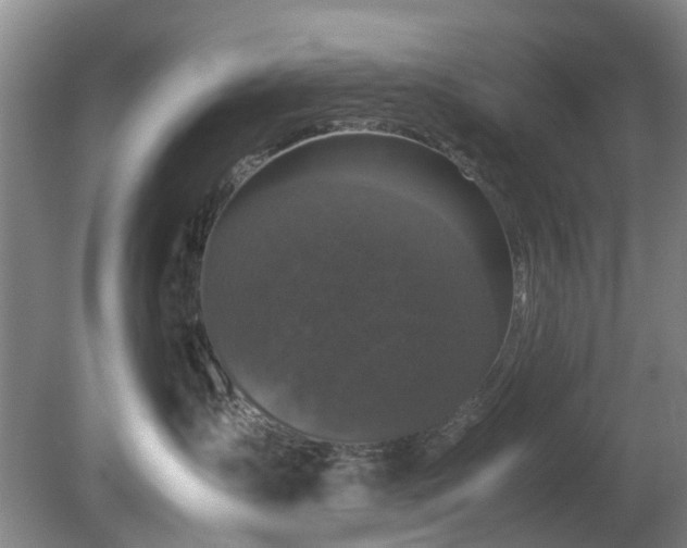 X0000081390431200701182237