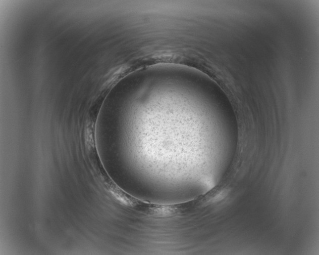 X0000081390432200701182237