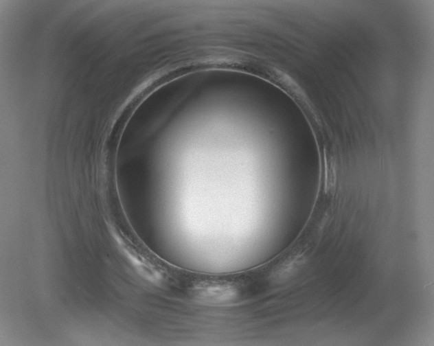 X0000081390435200701182236