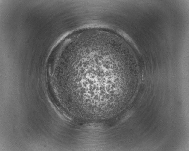 X0000081390436200701182236