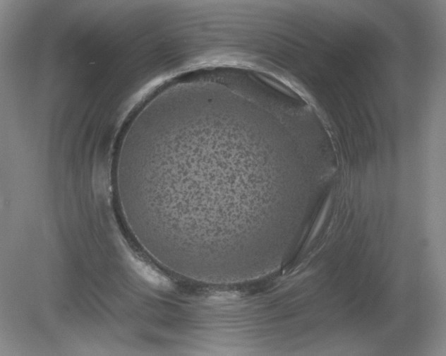 X0000081390438200701182236