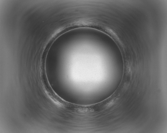 X0000081390439200701182236