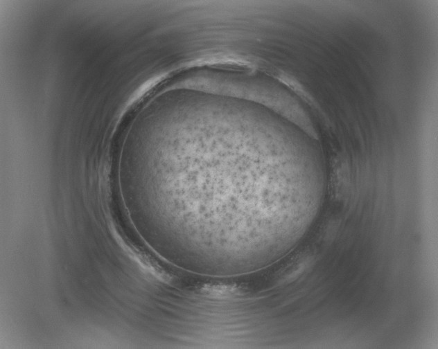 X0000081390440200701182236