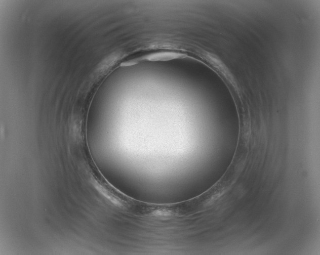 X0000081390441200701182236