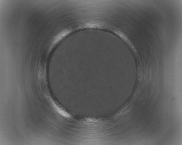 X0000081390442200701182236