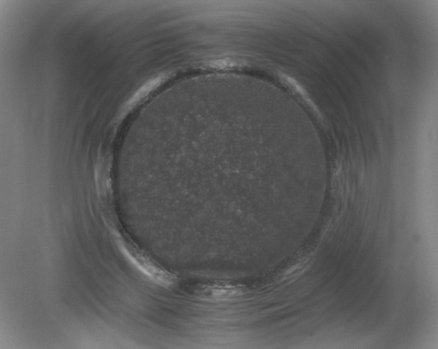 X0000081390443200701182236