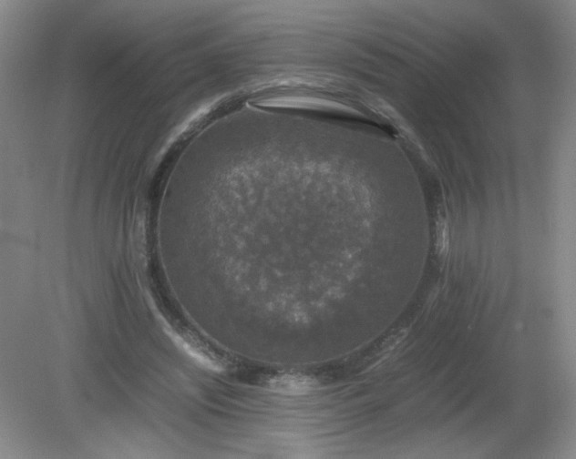 X0000081390444200701182236