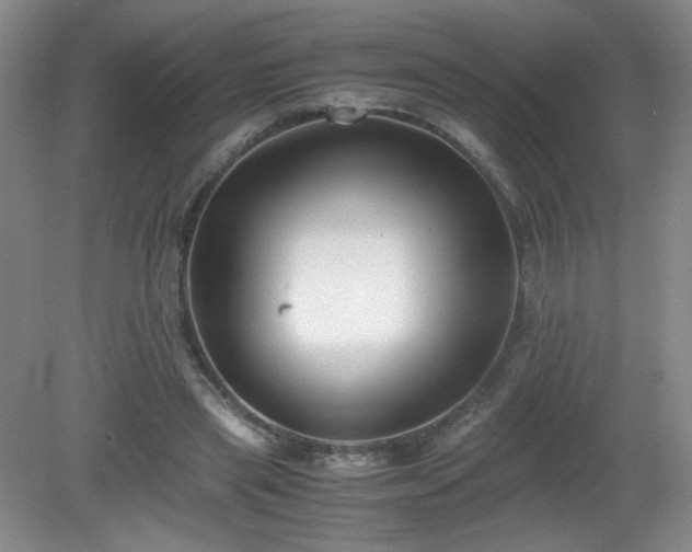 X0000081390445200701182236