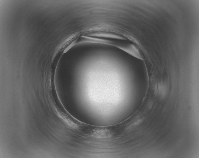 X0000081390446200701182236