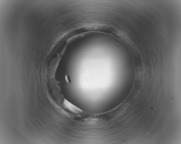 X0000081390448200701182236