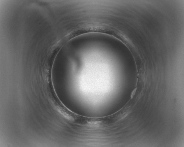 X0000081390450200701182236