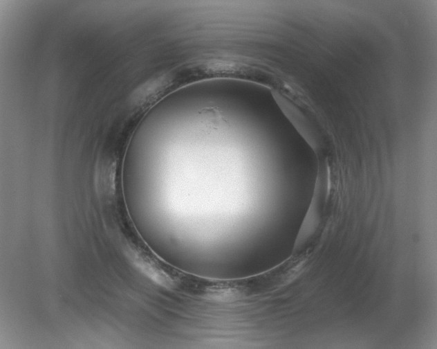 X0000081390454200701182236